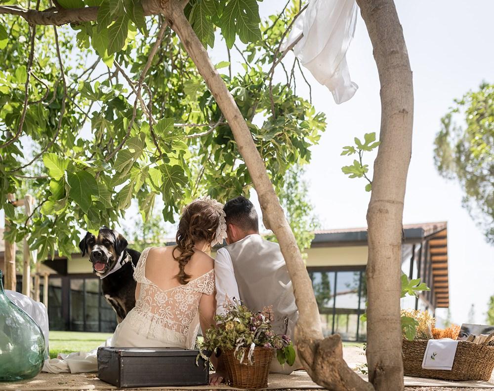 mascotas en bodas