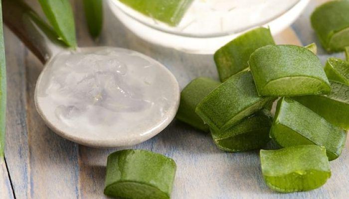 sábila para tratar las espinillas