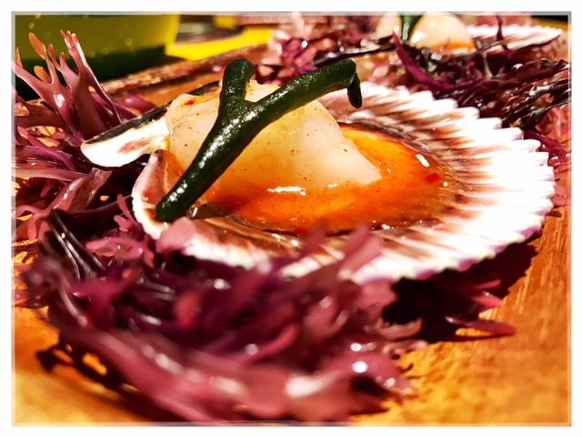 Una extensión de la Galaxia. Arallo Taberna