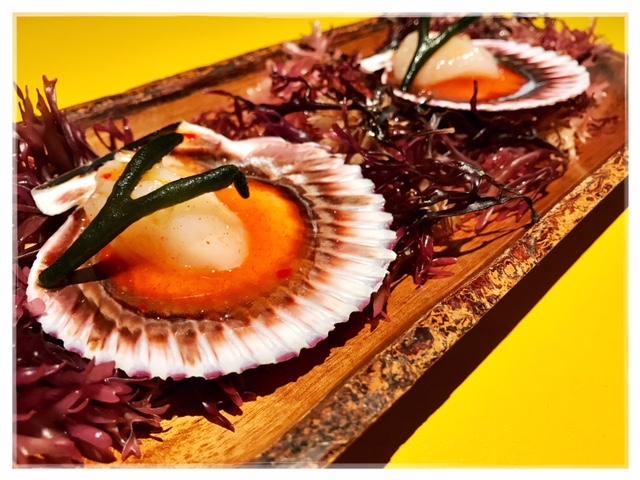 Una extensión de la Galaxia. Arallo Taberna