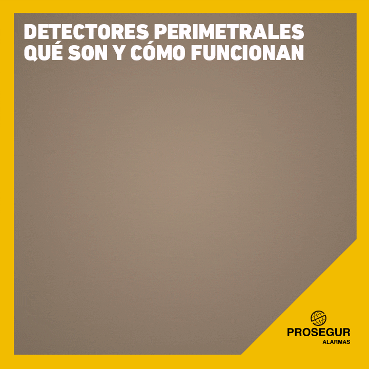 Que son los detectores perimetrales