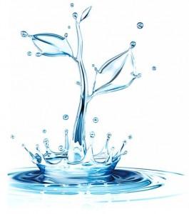 ahorro-de-agua-265x300