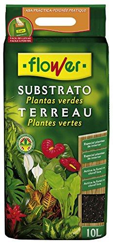 Flower 80060 - Substrato planta verde, 10L, 28 x 4 x 45 cm, color marrón