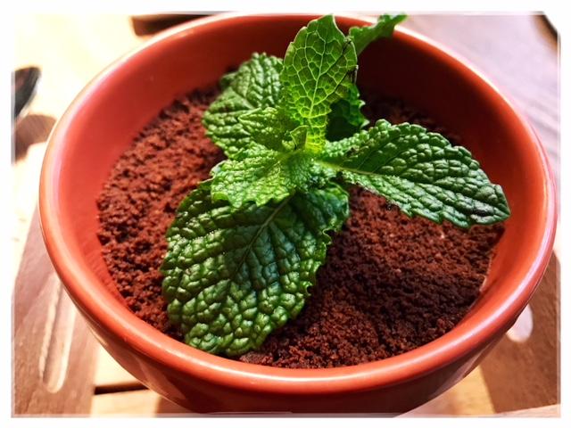 No Digas nada y Disfruta. niMÚ Barquillo