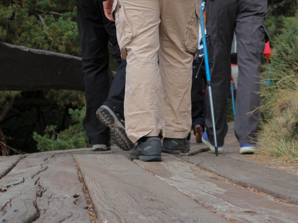 senderismo con niños por madrid