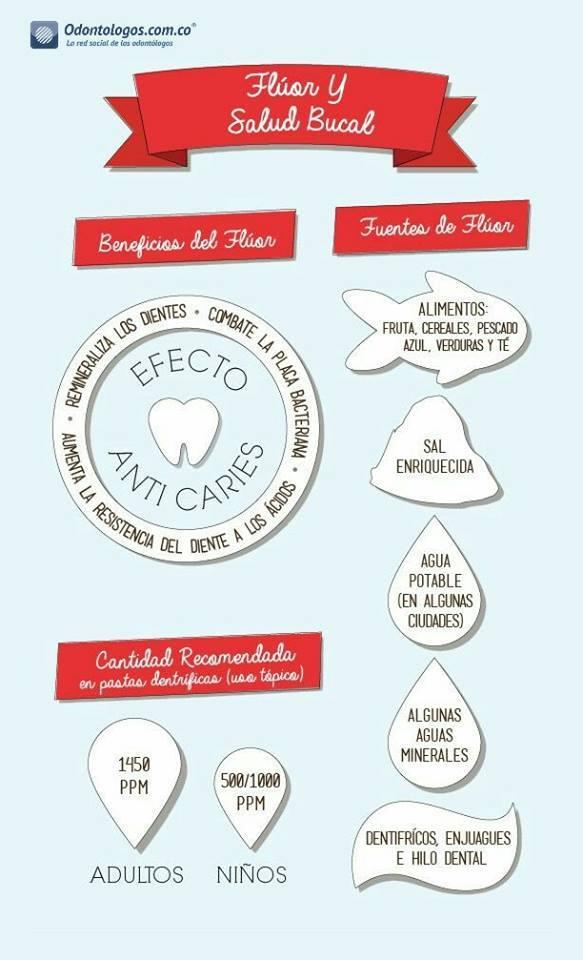 Resultado de imagen de fluor infografia dientes