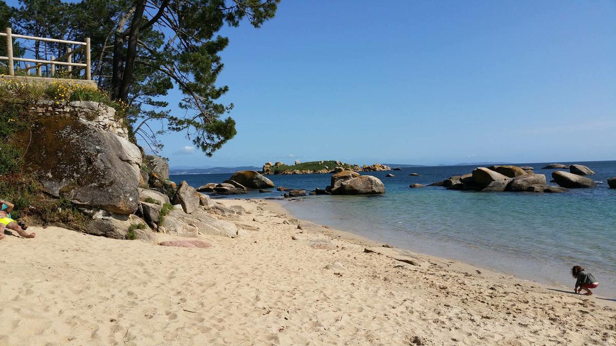 13288638_10209657099689932_807059910_o