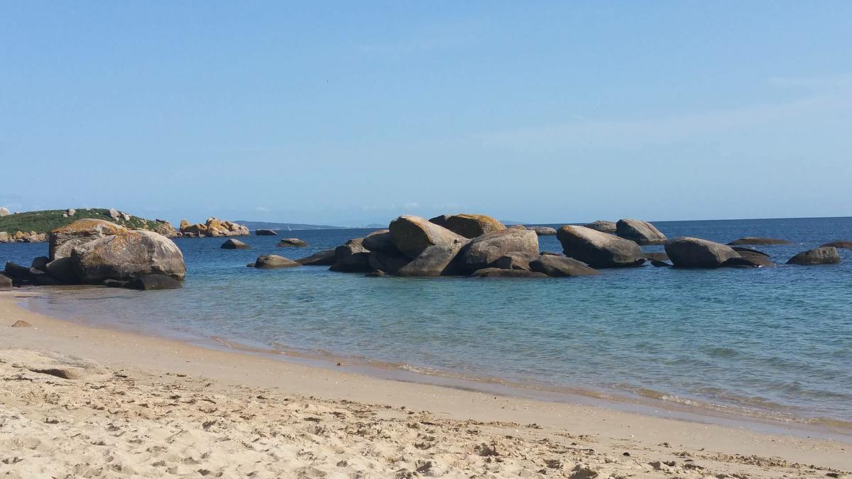 13271710_10209657099409925_1857920001_o