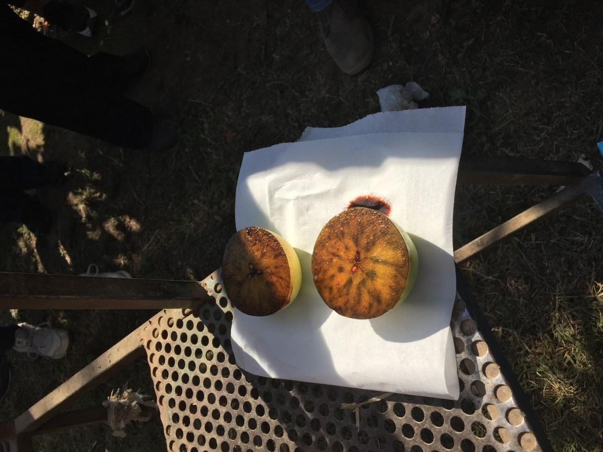 TARRITOS PARA NIÑOS: CÓMO SE ELABORAN Y EXIGENCIAS DE CALIDAD Foto de %title