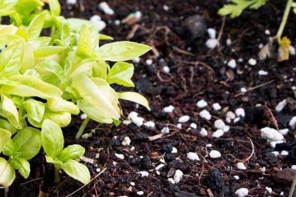 mesa-cultivo-fibra-coco