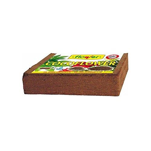 Flower 80142 - Coco flower, 70 l