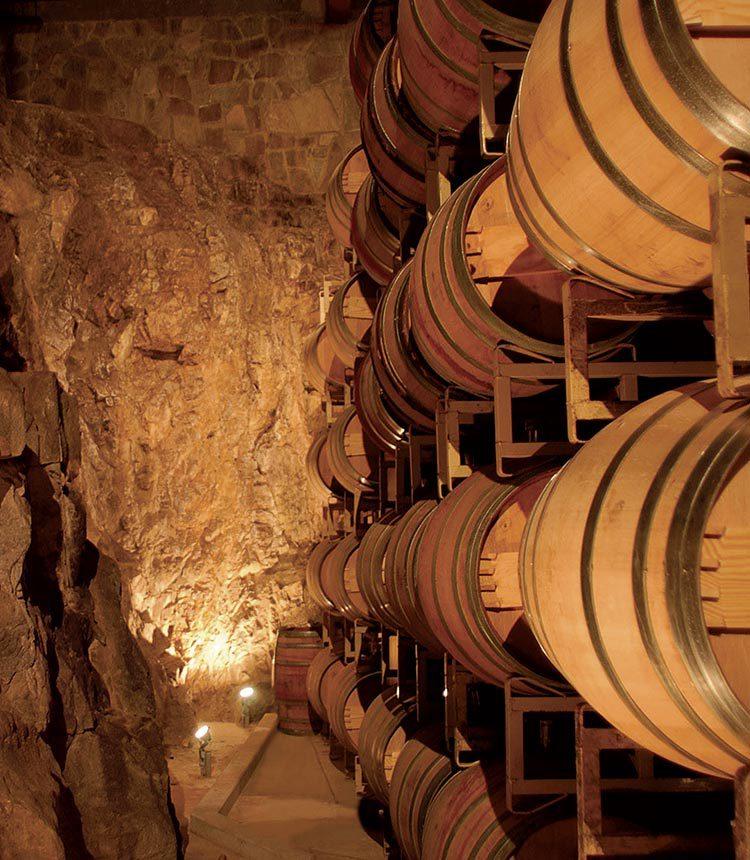 Monte Xanic cumple 30 años de hacer vino en mexico