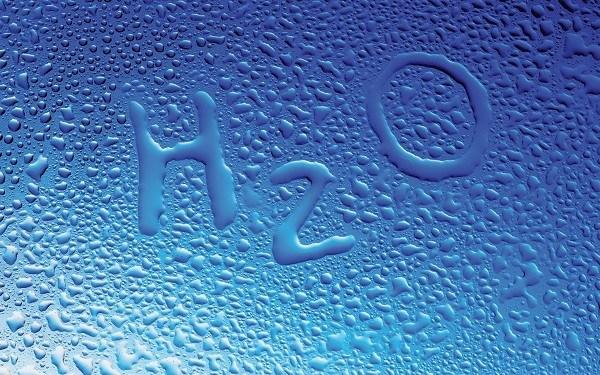 agua beneficios organismos