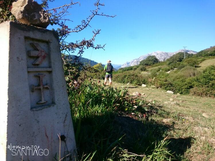 mojon en el camino lebaniego