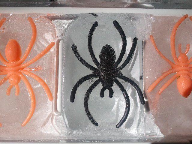 decoración para Halloween casera con cubitos de hielo con insectos