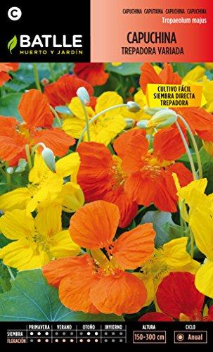 Semillas Batlle 091802BOLS - Capuchina Trepadora variada