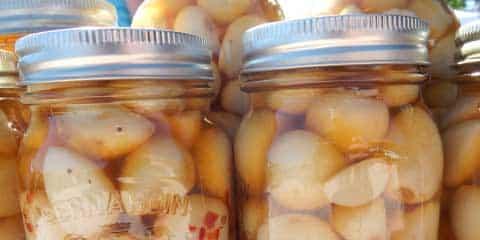 macerado-ajo-contra-pulgon