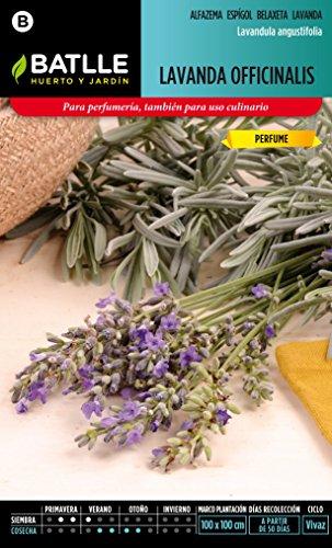 Semillas Batlle 097303BOLS - Lavanda