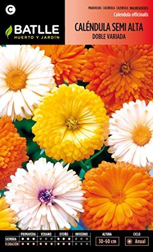 Semillas Batlle 091502BOLS - Caléndula semi alta doble variada