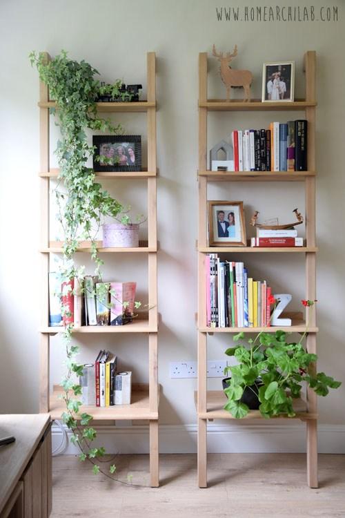 plantas de fácil cuidado