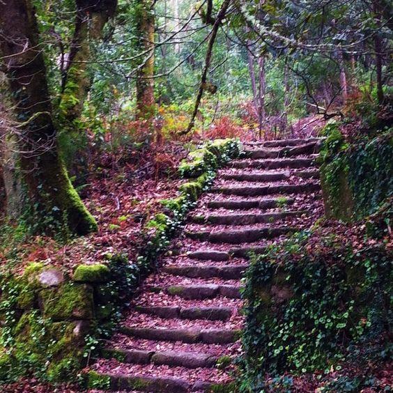 796cc204021338946dc6babcf3ecb07b