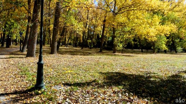 Parque de Fuentes Blancas en Burgos.