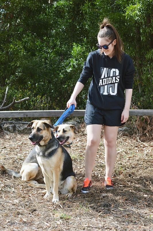 Paseo-perris-octubre-2017 (1)