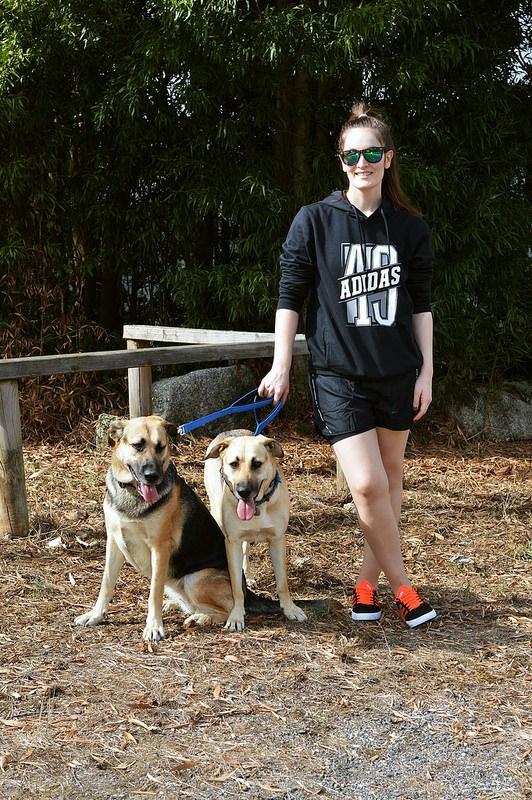 Paseo-perris-octubre-2017 (3)