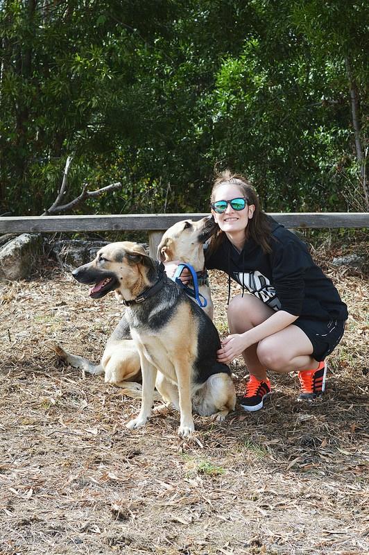 Paseo-perris-octubre-2017 (2)