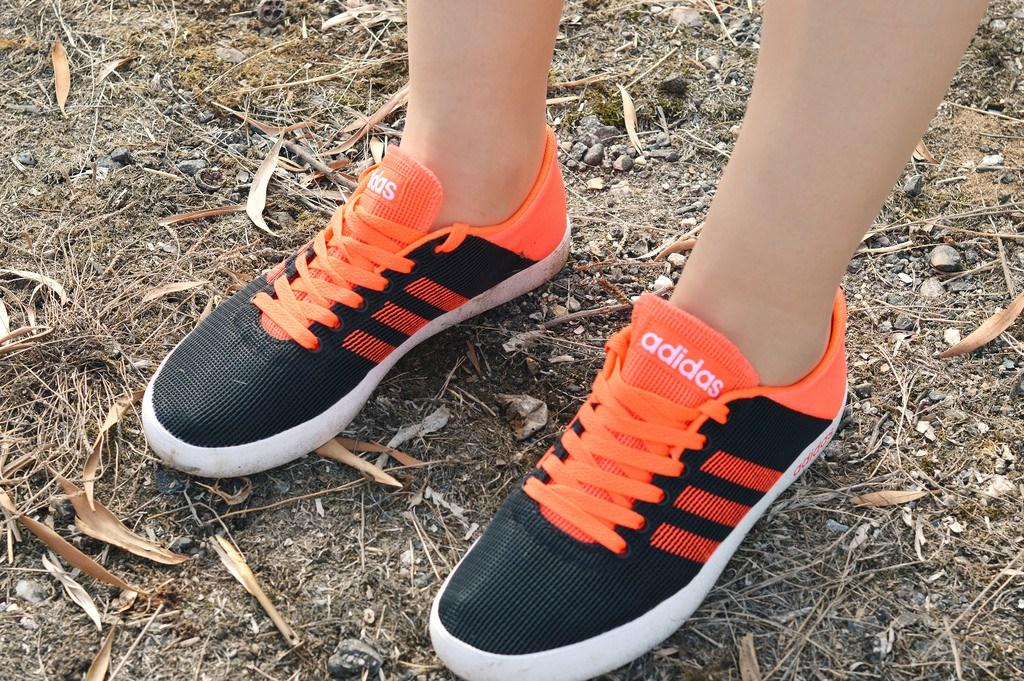 Paseo-perris-octubre-2017 (11)