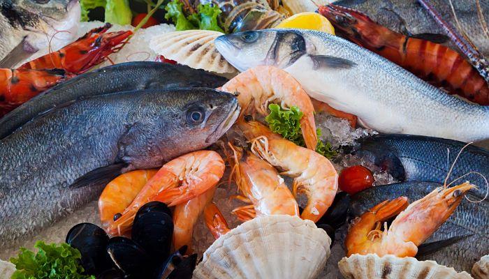 pescados y mariscos