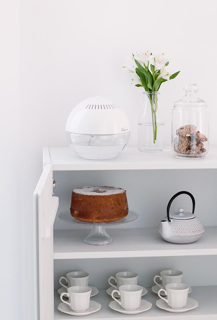 brumizador detalle de una gran merienda