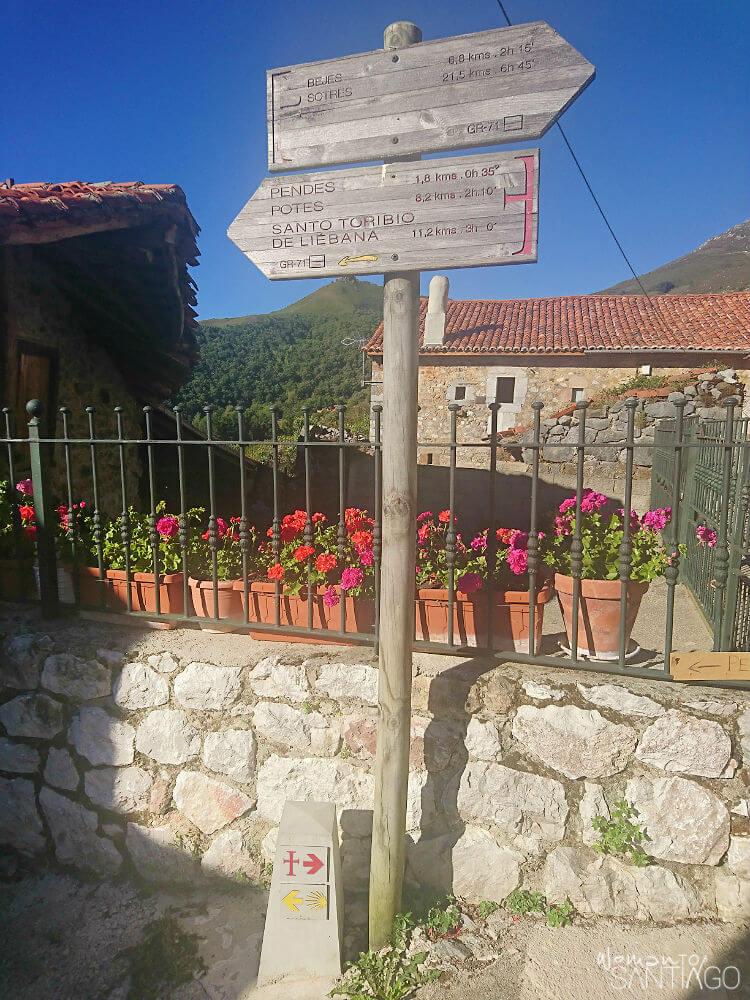 flechas en el camino