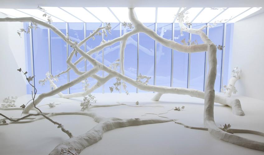 espacio de David Wiseman