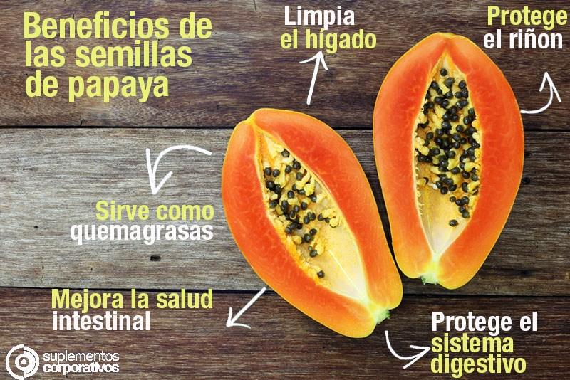 Resultado de imagen de papaya beneficios semillas