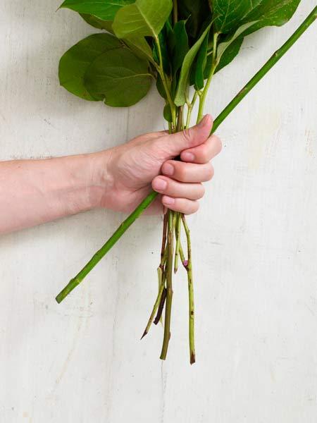 tutorial para hacer un ramo de flores: paso 3