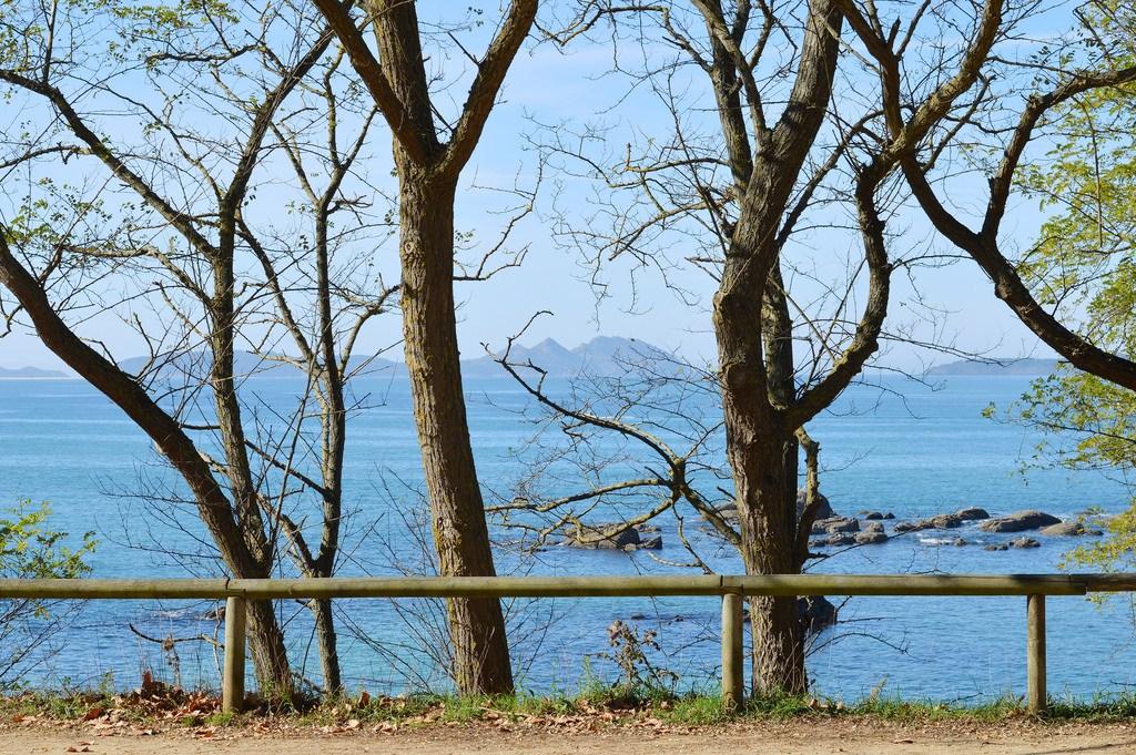 Look-noviembre-2017 (1)