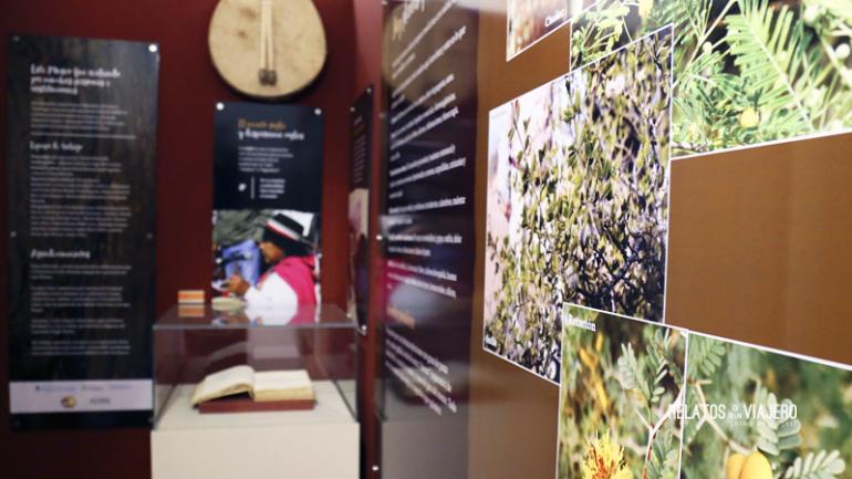 Museo Folclórico de Londres