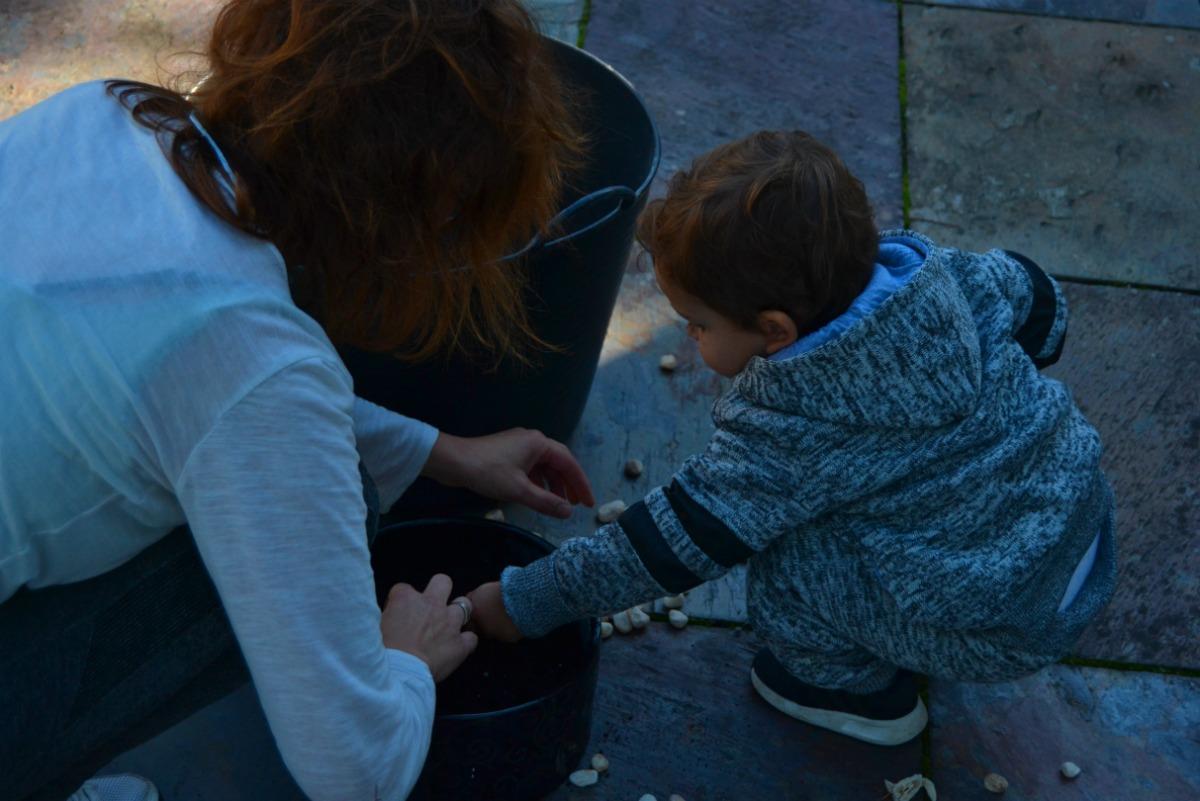 terrario con cactus y suculentas