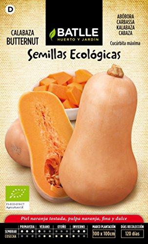 Semillas Batlle 651301BOLS - Calabaza Butternut ECO