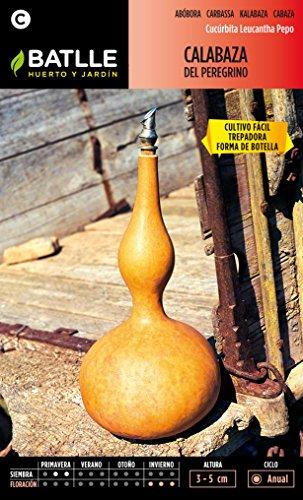 Semillas Batlle 011303BOLS - Calabaza del Peregrino
