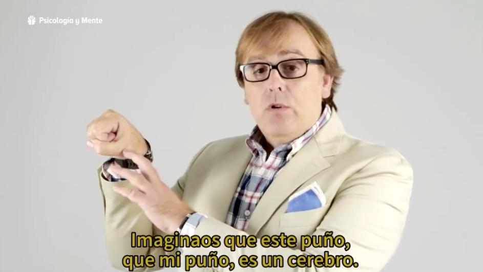 cerebro maquina de supervivencia