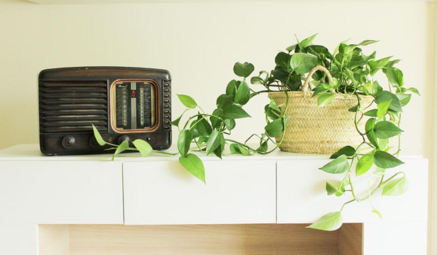 La radio siempre está encendida