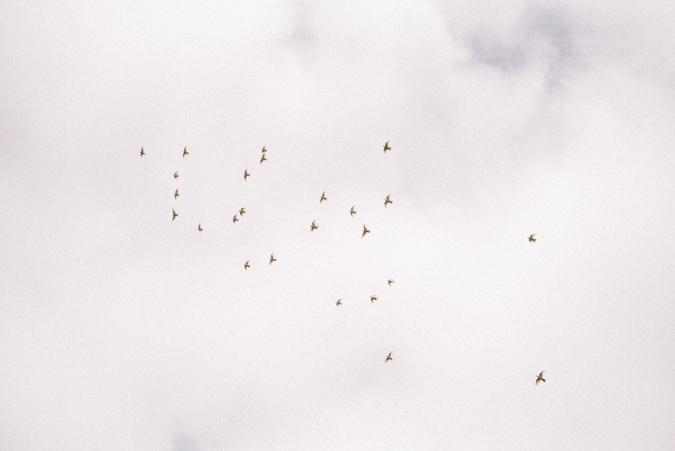 boda boho indie claudia daniel