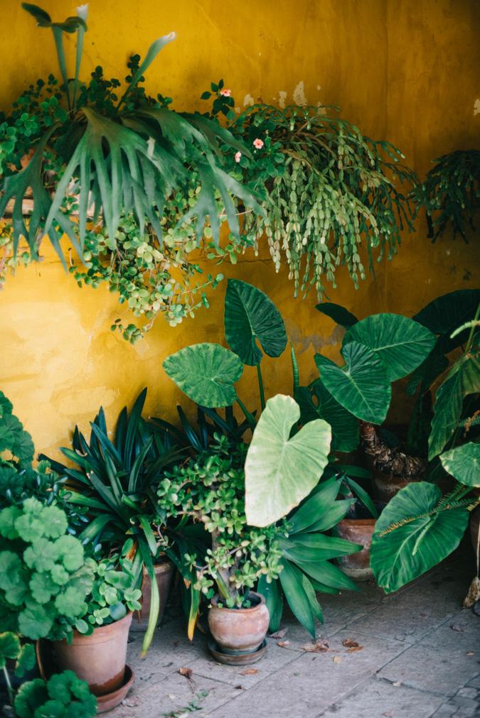 boda boho indie claudia daniel