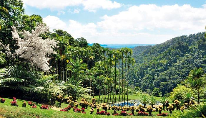 Que Ver en Martinica