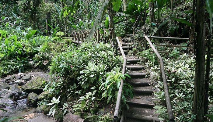 Que Ver en Martinica