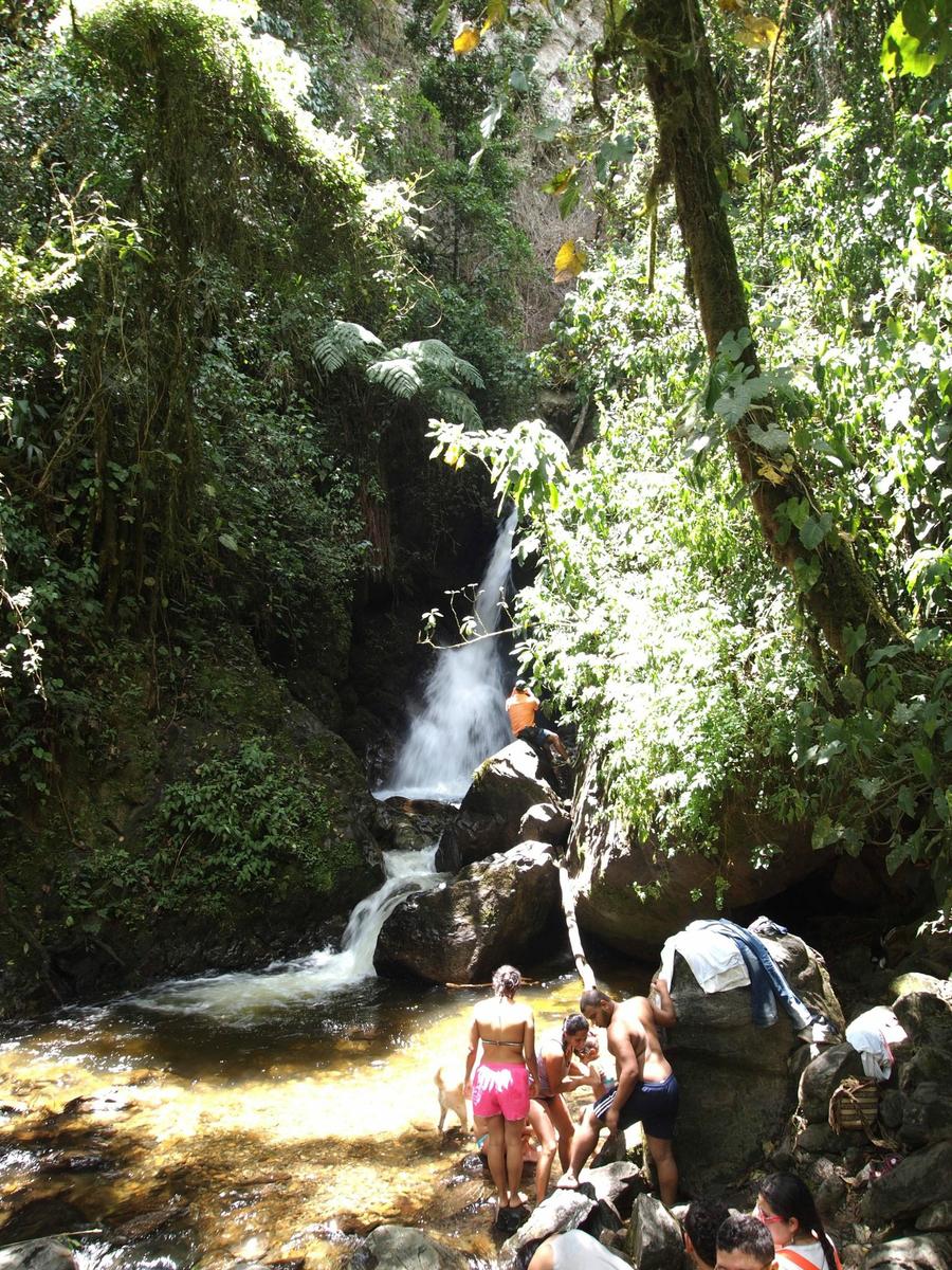 Cascada del Bosqe de niebla en el Vale de Cocora