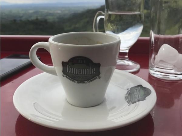 el Café del Café mirador Concorde en Pijao