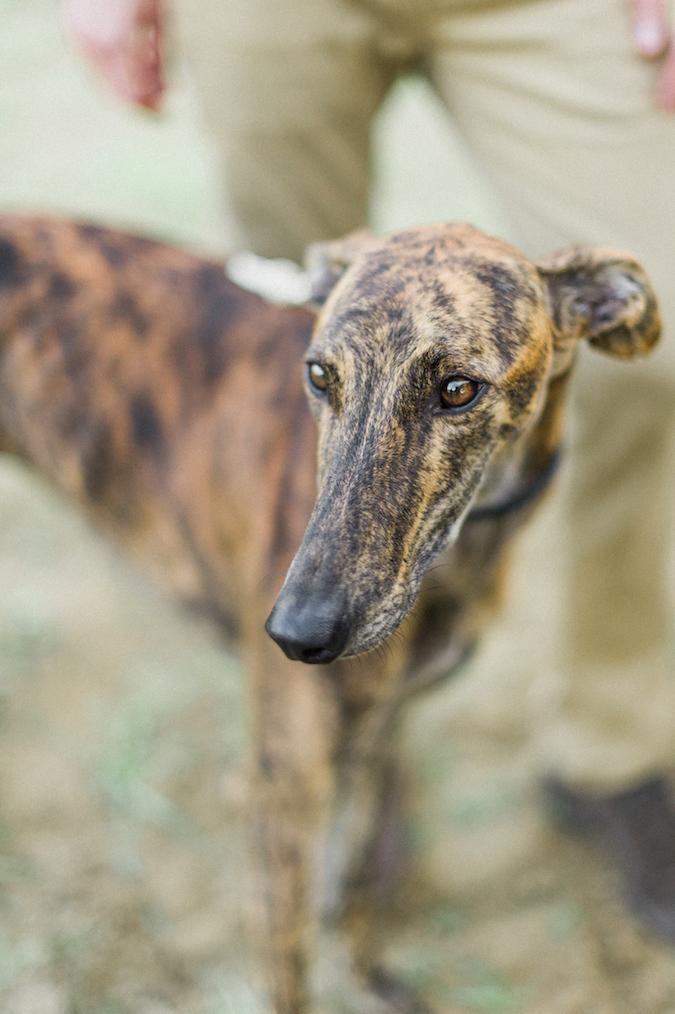 organical slow autumn elopement